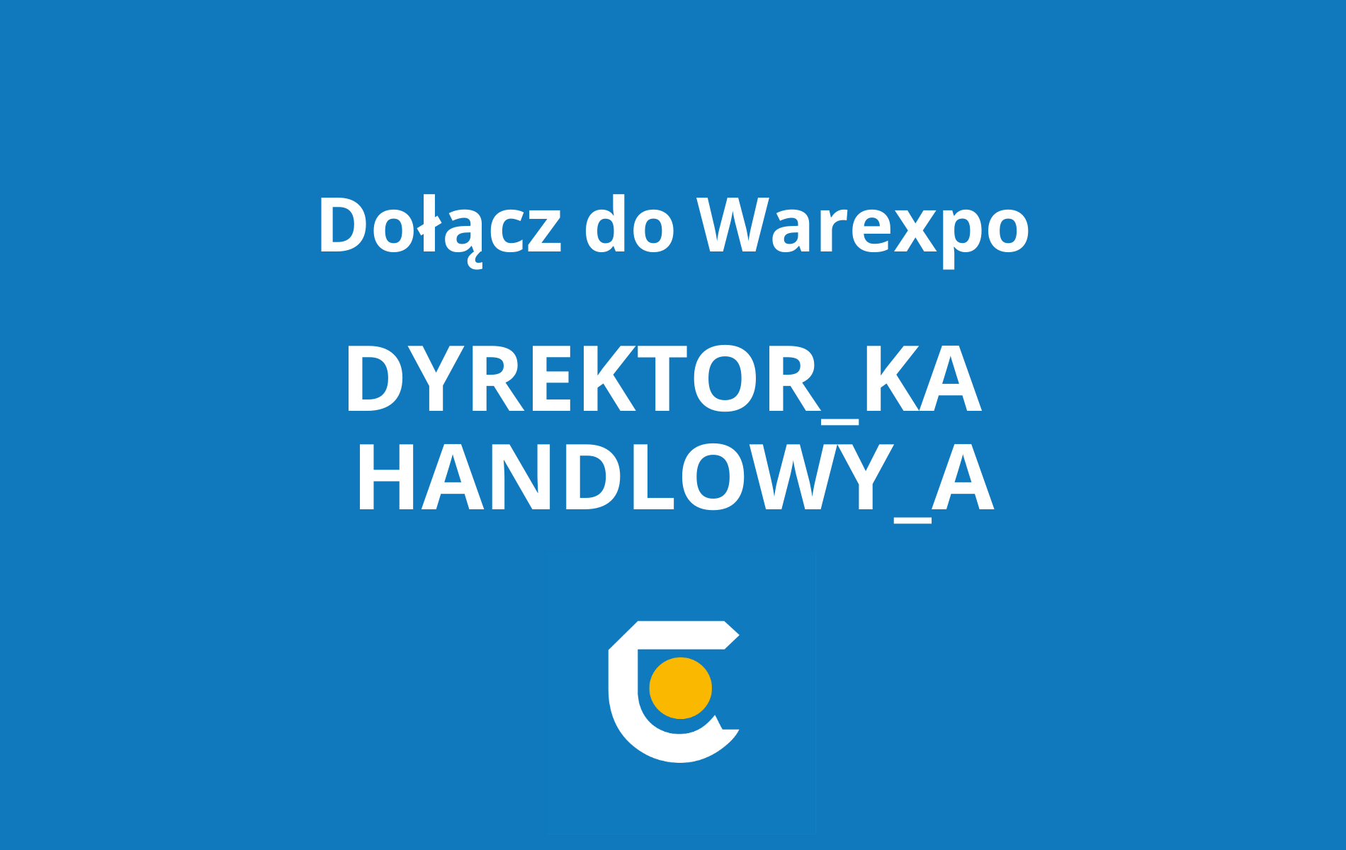 Poszukiwany Dyrektor Handlowy