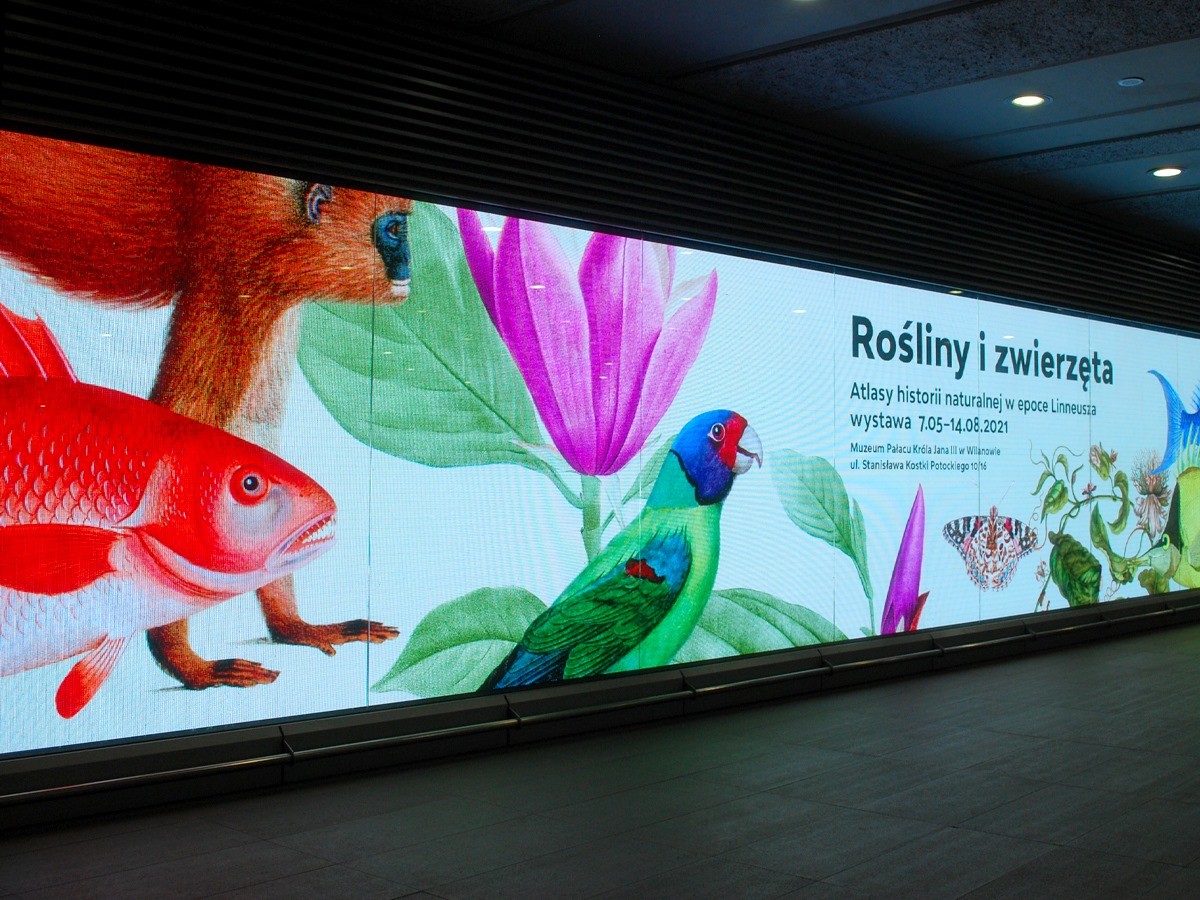 Rośliny i zwierzęta